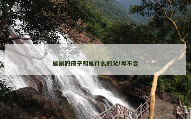 属鼠的孩子和属什么的父/母不合