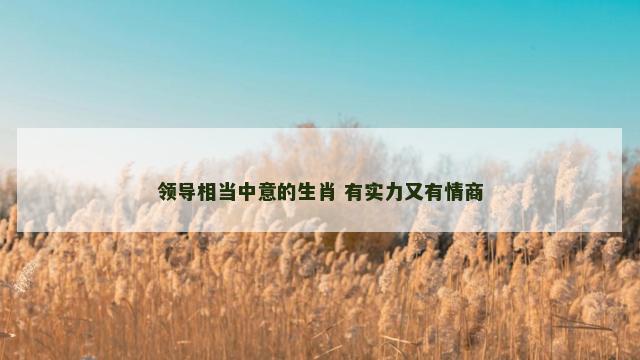 领导相当中意的生肖 有实力又有情商
