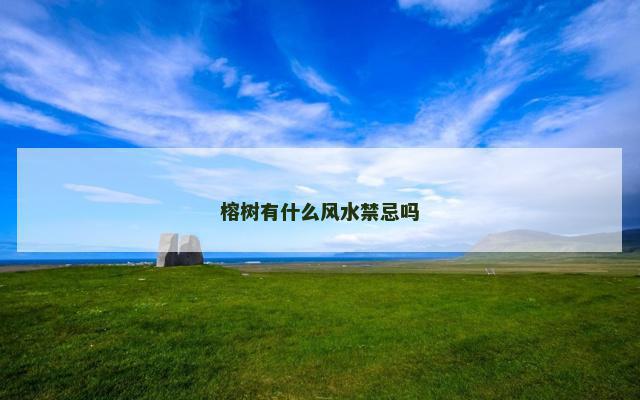 榕树有什么风水禁忌吗