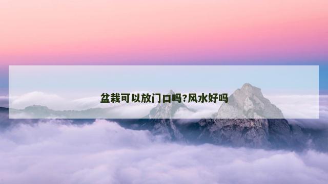 盆栽可以放门口吗?风水好吗