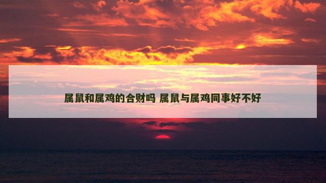 属鼠和属鸡的合财吗 属鼠与属鸡同事好不好