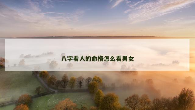 八字看人的命格怎么看男女