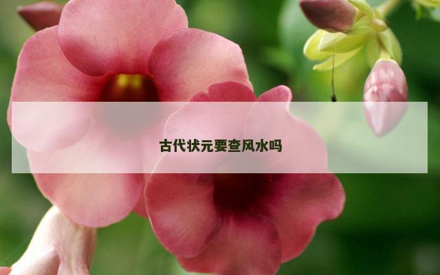 古代状元要查风水吗