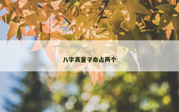 八字真童子命占两个