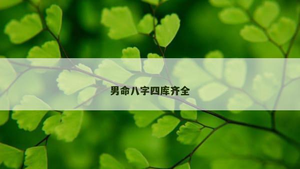 男命八字四库齐全
