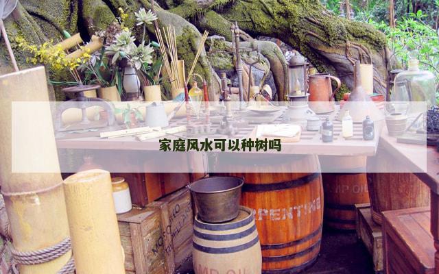 家庭风水可以种树吗