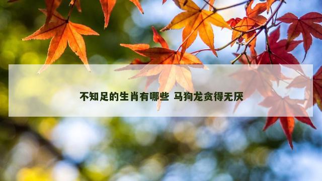 不知足的生肖有哪些 马狗龙贪得无厌