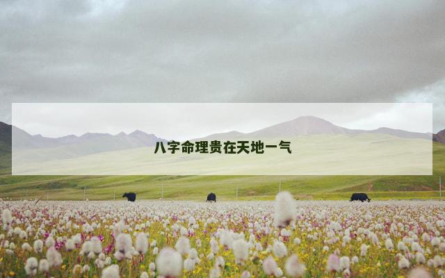 八字命理贵在天地一气