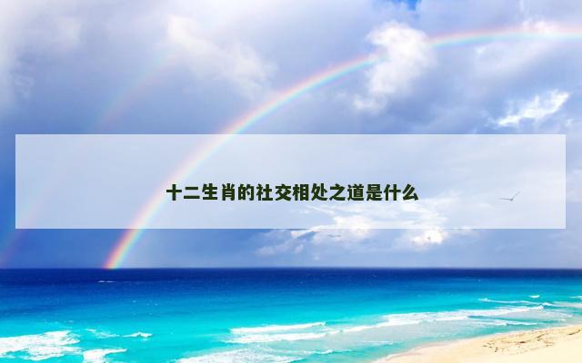 十二生肖的社交相处之道是什么