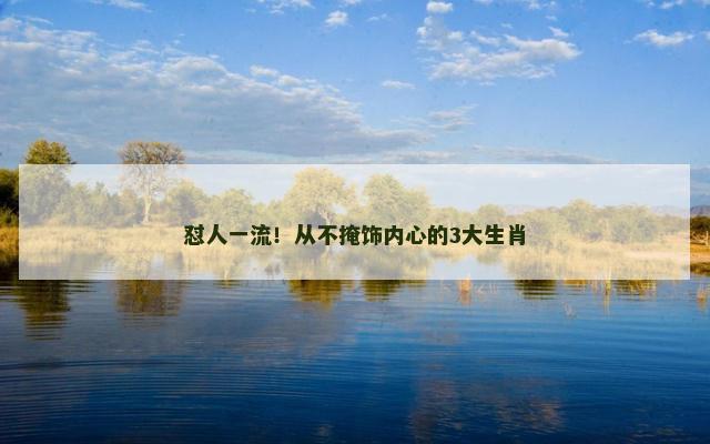 怼人一流！从不掩饰内心的3大生肖