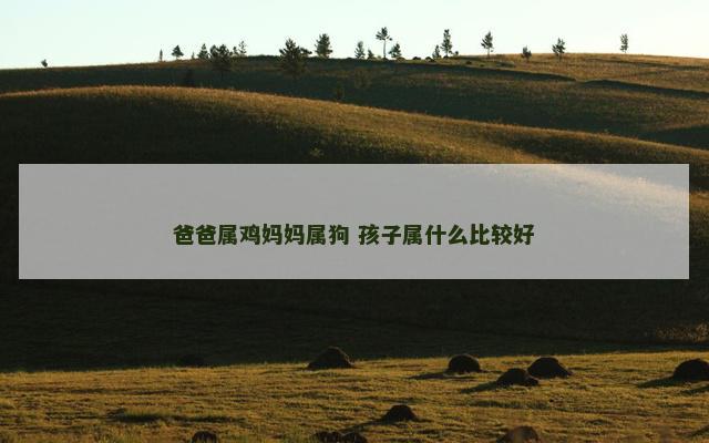 爸爸属鸡妈妈属狗 孩子属什么比较好