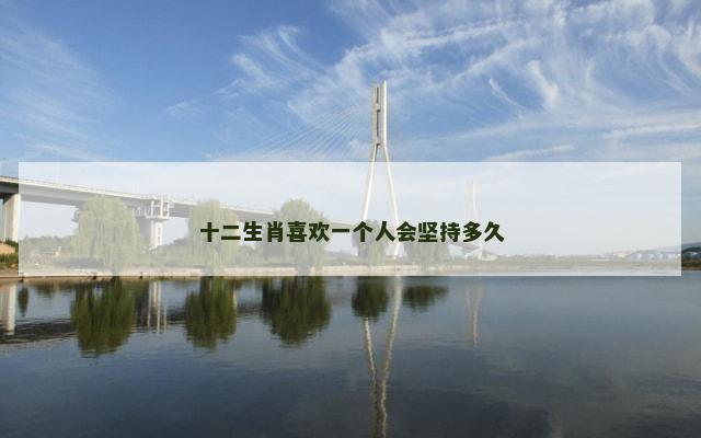 十二生肖喜欢一个人会坚持多久
