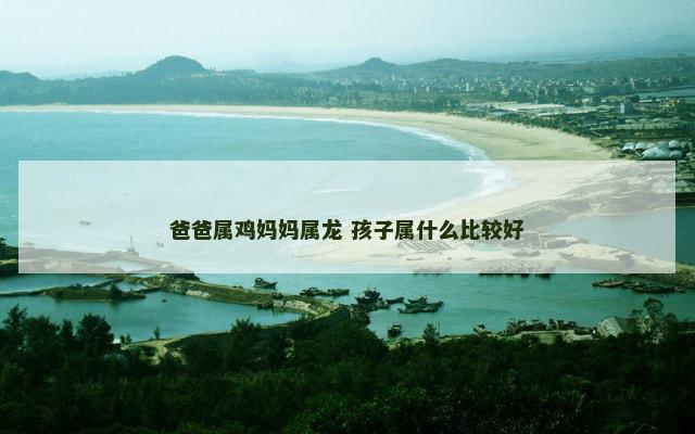 爸爸属鸡妈妈属龙 孩子属什么比较好