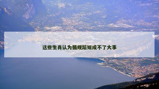 这些生肖认为循规蹈矩成不了大事
