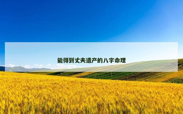 能得到丈夫遗产的八字命理