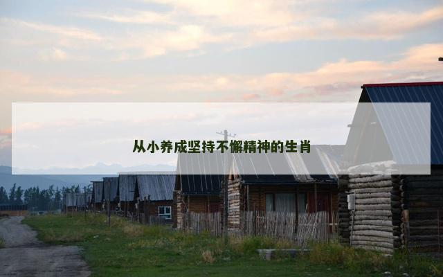 从小养成坚持不懈精神的生肖