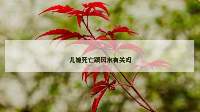 儿媳死亡跟风水有关吗