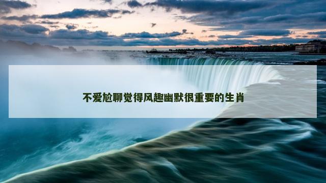 不爱尬聊觉得风趣幽默很重要的生肖