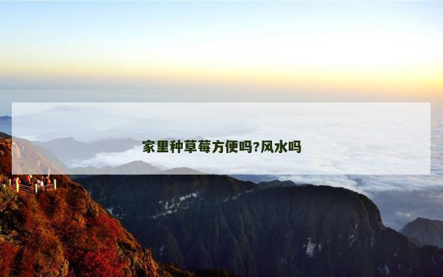 家里种草莓方便吗?风水吗