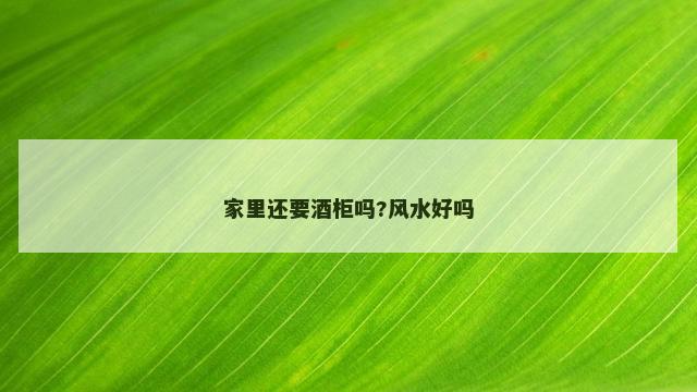 家里还要酒柜吗?风水好吗