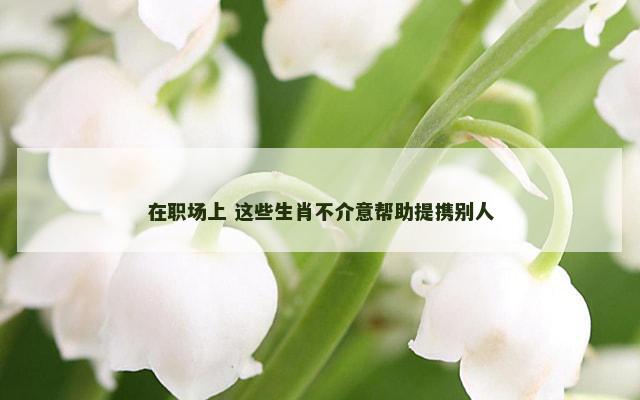在职场上 这些生肖不介意帮助提携别人