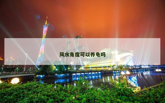 风水角度可以养龟吗