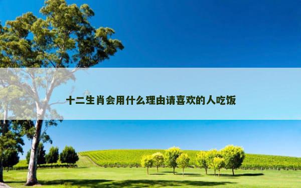 十二生肖会用什么理由请喜欢的人吃饭