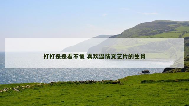 打打杀杀看不惯 喜欢温情文艺片的生肖