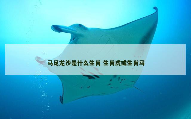 马足龙沙是什么生肖 生肖虎或生肖马