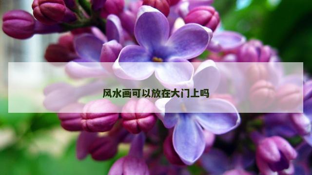 风水画可以放在大门上吗
