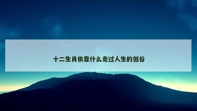十二生肖依靠什么走过人生的低谷