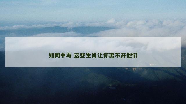 如同中毒 这些生肖让你离不开他们