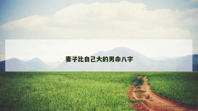 妻子比自己大的男命八字