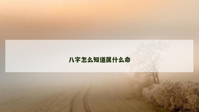 八字怎么知道属什么命