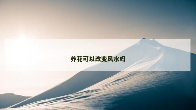 养花可以改变风水吗