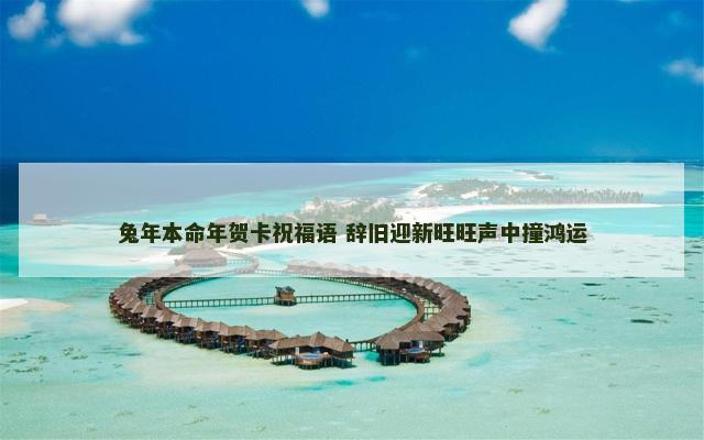 兔年本命年贺卡祝福语 辞旧迎新旺旺声中撞鸿运
