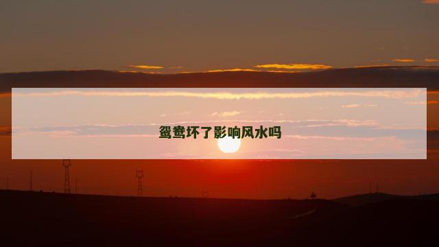 鸳鸯坏了影响风水吗