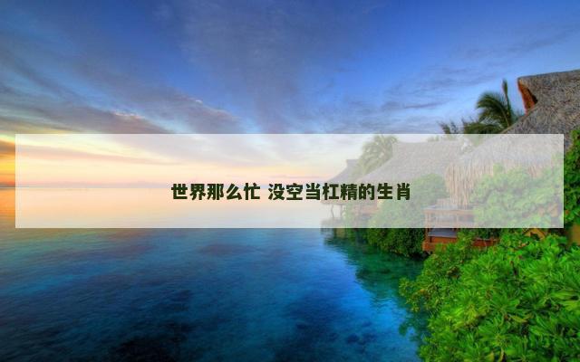 世界那么忙 没空当杠精的生肖