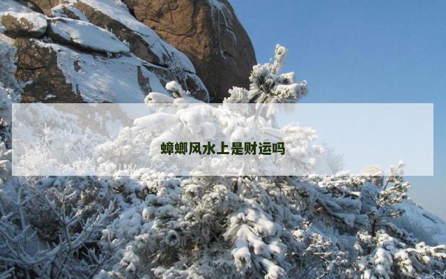 蟑螂风水上是财运吗