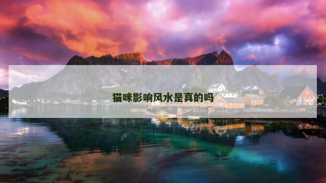 猫咪影响风水是真的吗