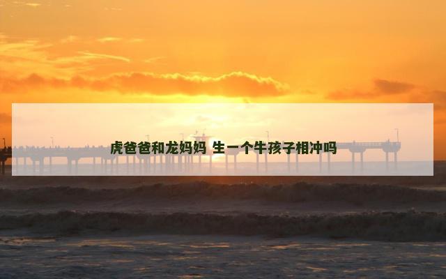 虎爸爸和龙妈妈 生一个牛孩子相冲吗