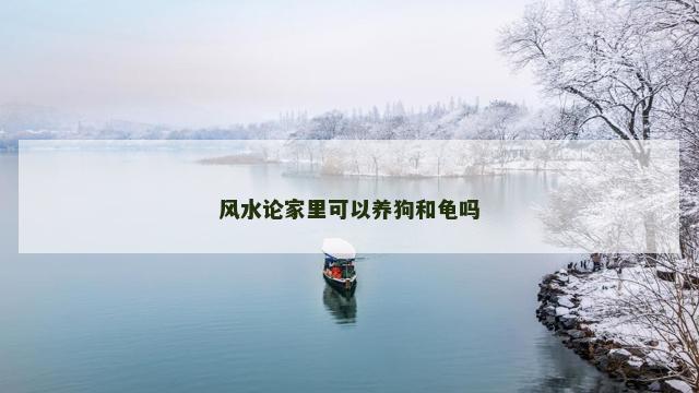 风水论家里可以养狗和龟吗