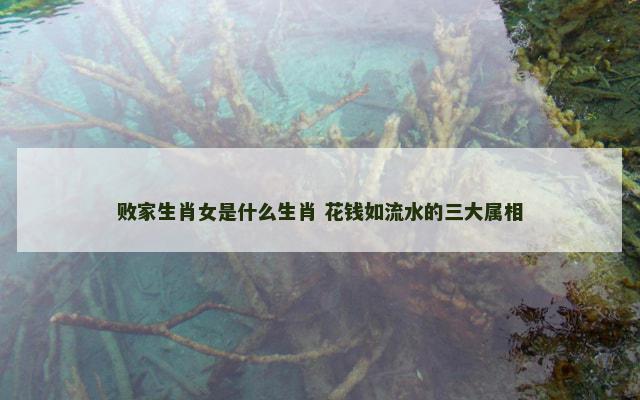 败家生肖女是什么生肖 花钱如流水的三大属相
