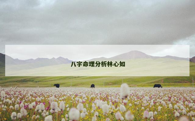 八字命理分析林心如