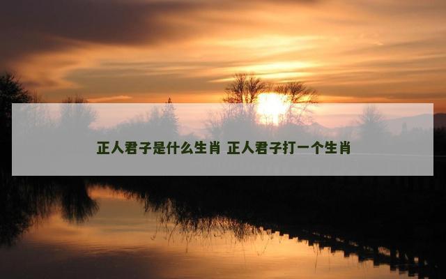 正人君子是什么生肖 正人君子打一个生肖