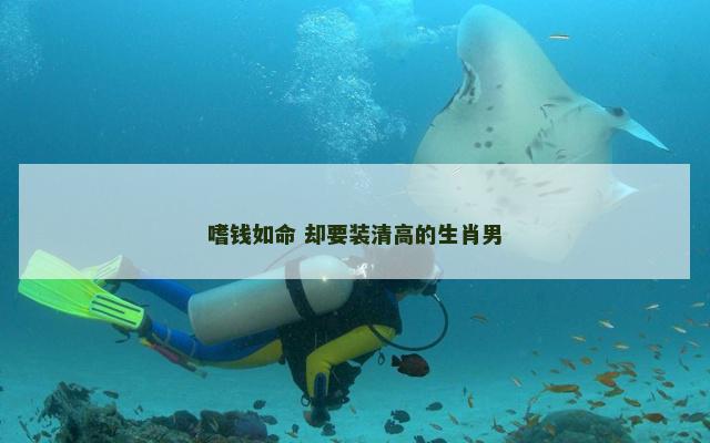 嗜钱如命 却要装清高的生肖男