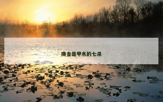庚金是甲木的七杀