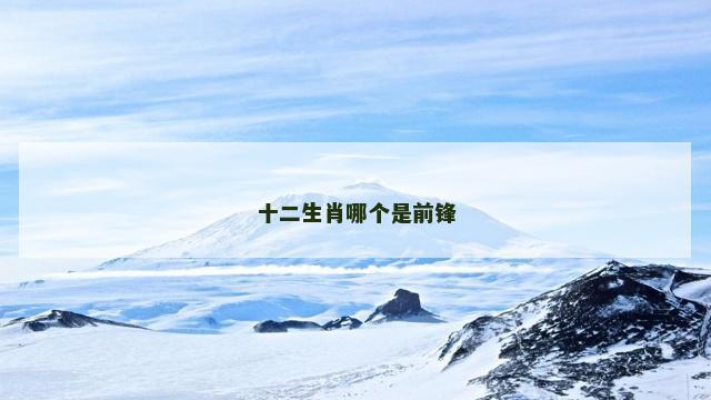 十二生肖哪个是前锋
