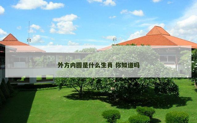 外方内圆是什么生肖 你知道吗