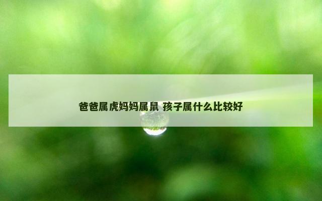 爸爸属虎妈妈属鼠 孩子属什么比较好